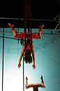 vertige du papillon 007 * 2336 x 3504 * (3.31MB)